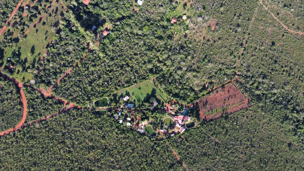 Vista aérea da Futura Farm